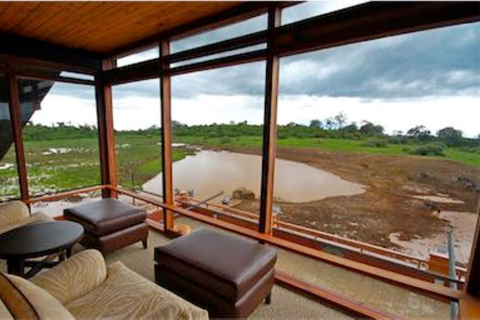 Nairobi: Safari nocturno por los Aberdares a El Arca y las Copas de los Árboles