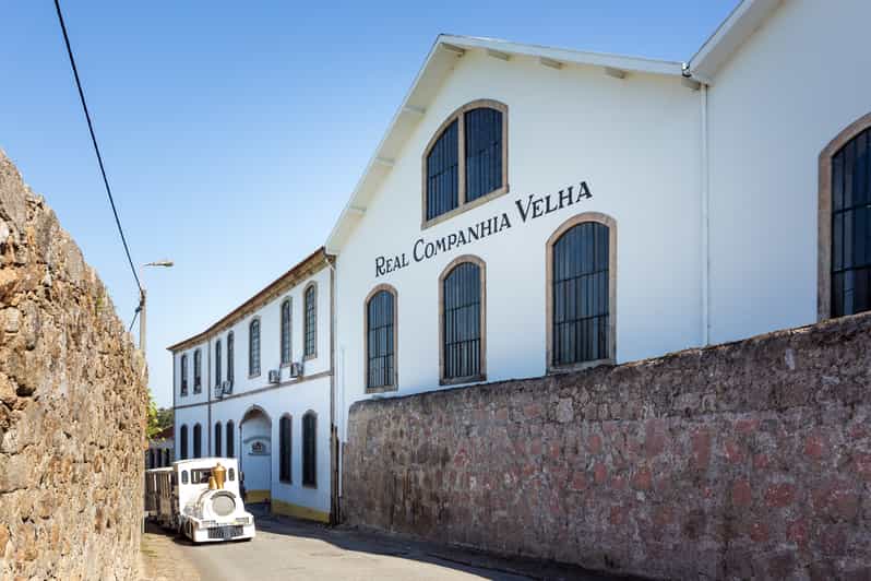 Porto City Train Tour, River Cruise & Wine Cellar GetYourGuide
