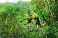 Avventura con zipline all'aperto - Housity