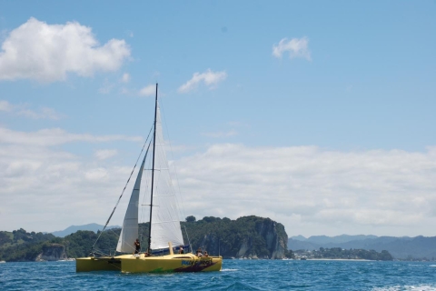 Whitianga : Excursion en voilier à Cathedral CoveMatinée de voile à Cathedral Cove avec baignade