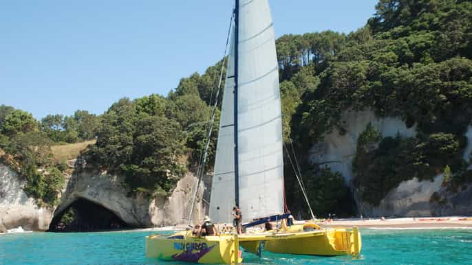 whitianga segeltour zur cathedral cove mit bad im meer