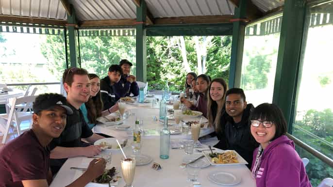 mount tamborine wine tour with gourmet lunch