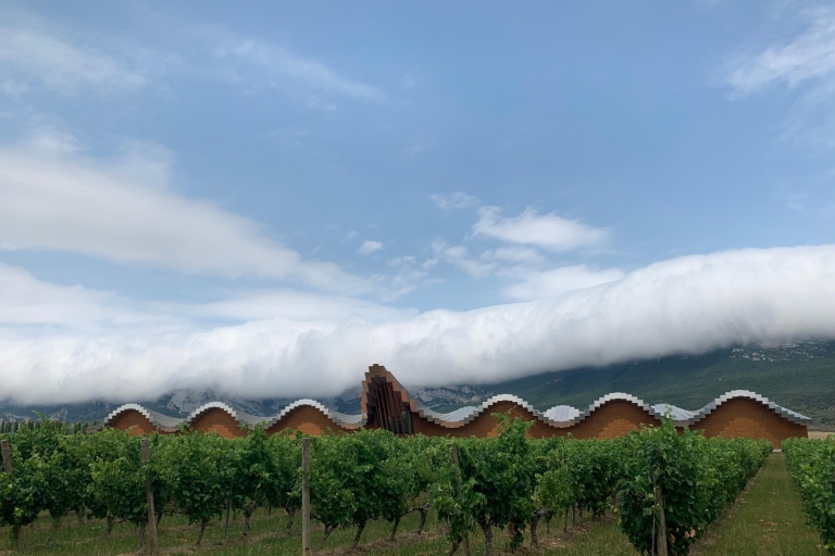 Van San Sebastian: Rioja Wine Tour