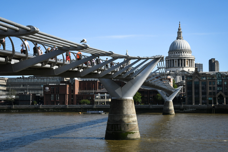 London: Westminster Walking Tour and Kensington Palace Visit