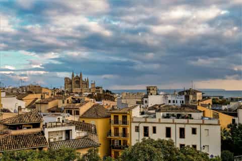 The Hidden Gems of Palma City Discovery Game