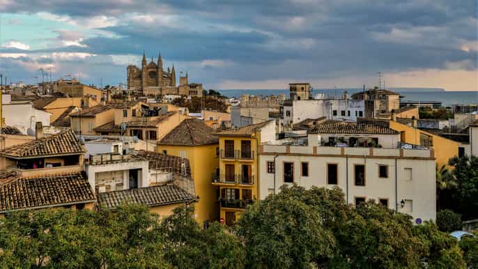 le gemme nascoste di palma city discovery game