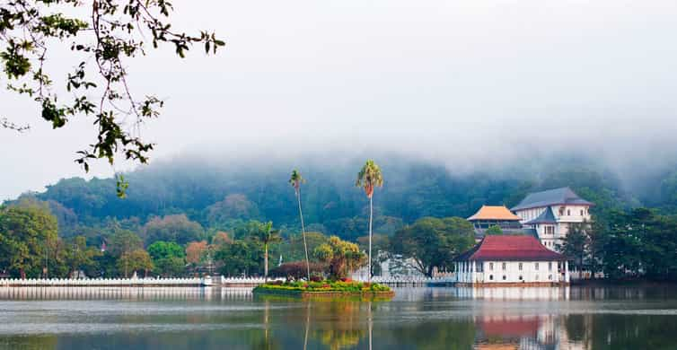 Pinnawala & Kandy Day Trip from Colombo | GetYourGuide