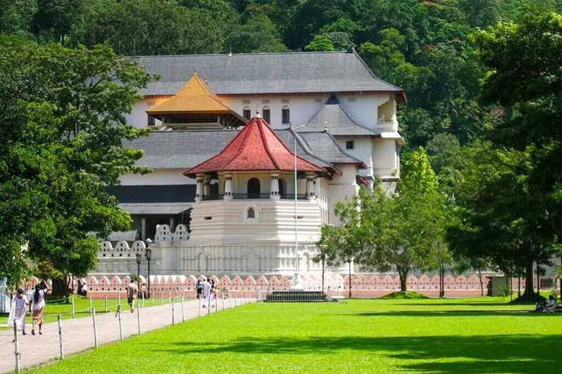 From Colombo: Kandy and Pinnawala Full-Day Trip