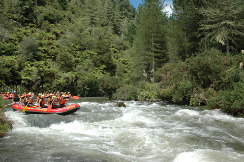 Rangitaiki Rafting Graad 3-4