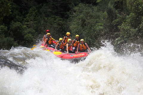 Rangitaiki Rafting Graad 3-4