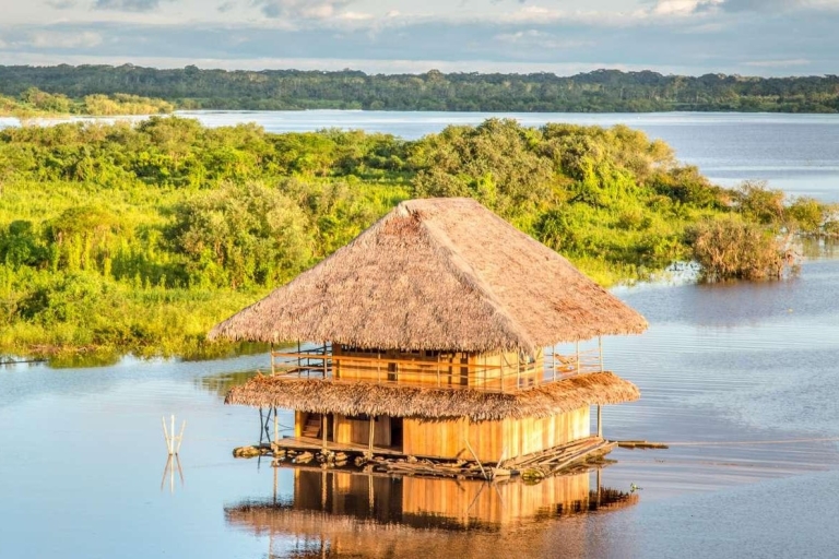 Von Iquitos aus: Ein ganzer Tag wunderbare Tierwelt