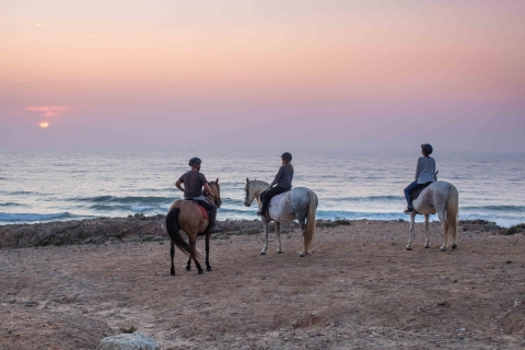 Algarve: paardrijtocht strand bij zonsondergang of ochtendStandaard Optie: