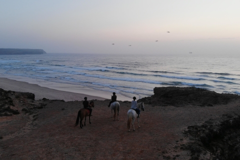 Algarve: Horse Riding Beach Tour at Sunset or Morning Standard Option
