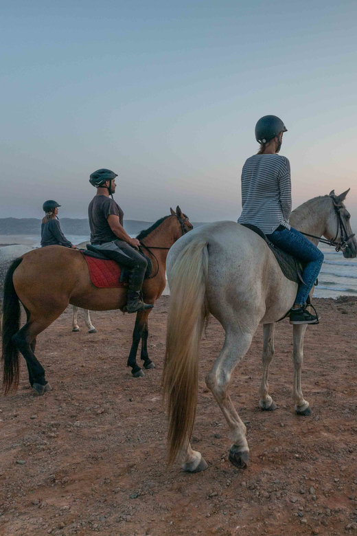 Americano Cavalos ao Por do Sol