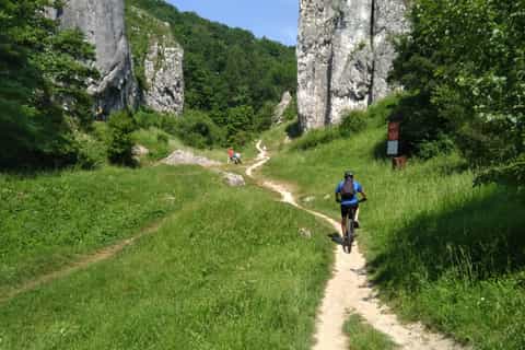 From Krakow: 8-Hour Mountain Biking Tour