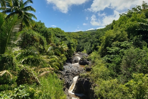 Maui: privéweg naar Hana-dagtrip - alleen voor uw groep