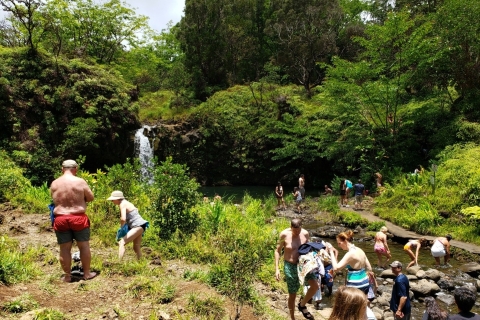 Maui : Excursion privée d'une journée sur la route de Hana - Juste pour votre groupe