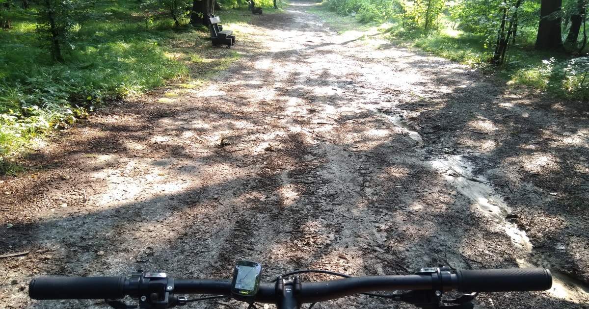 mountain biking