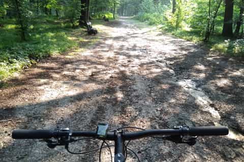Krakow: 3-Hour Mountain Biking Experience in Las Wolski