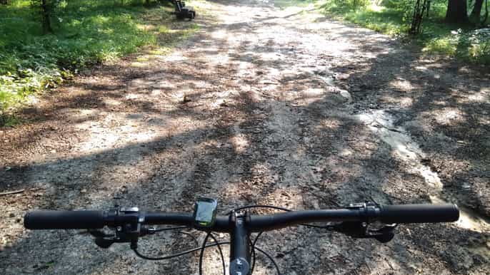 krakow 3hour mountain biking experience in las wolski