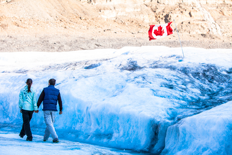 Jasper: Columbia Icefield Skywalk and Ice Explorer Ticket