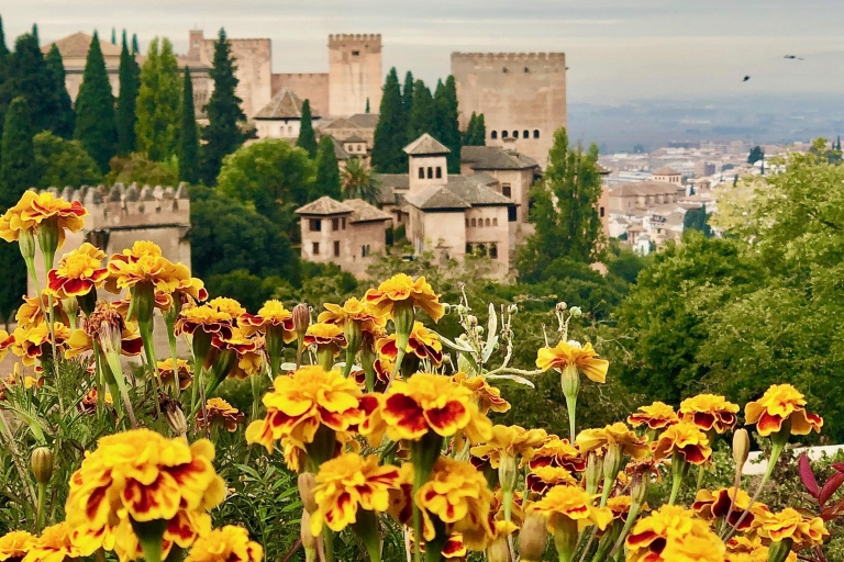 Alhambra: Führung mit Einlass ohne AnstehenTour mit Treffpunkt