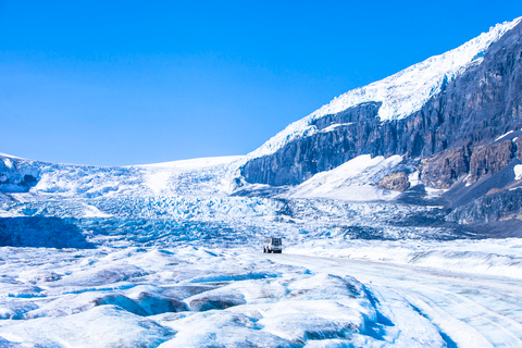 Jasper: Columbia Icefield Skywalk and Ice Explorer Ticket