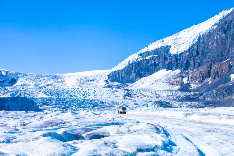 Jasper: Columbia Icefield Skywalk and Ice Explorer Ticket