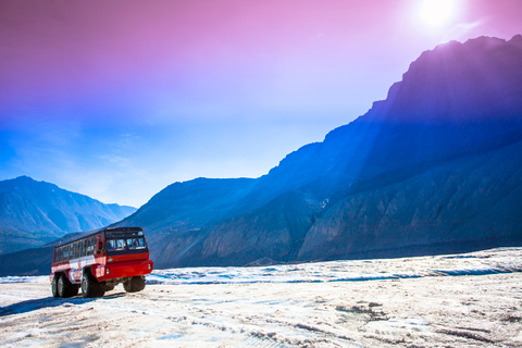 Jasper: Columbia Icefield Skywalk and Ice Explorer Ticket