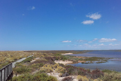 Faro: Ria Formosa Faro Islands Boat Tour