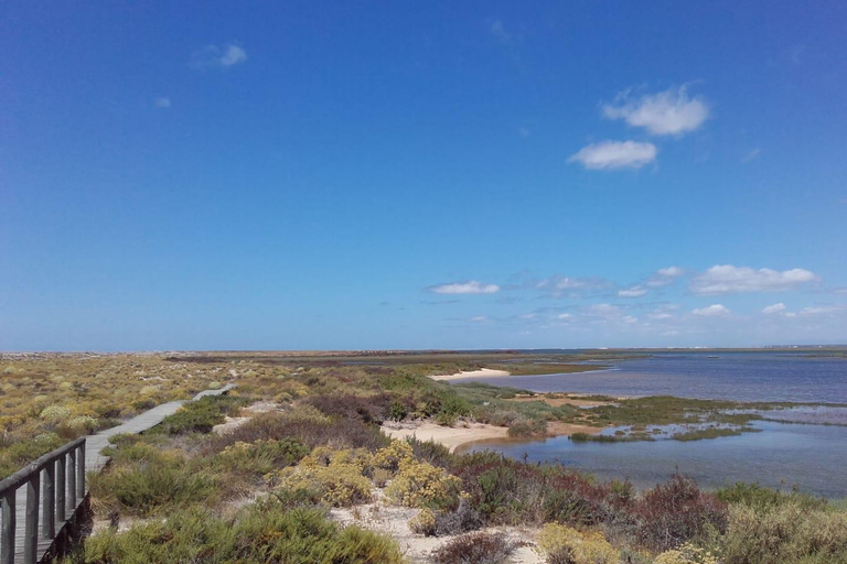 Faro: Ria Formosa Faro Islands Boat Tour