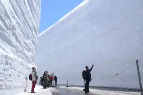 The BEST Hakuba Snow & winter sports 2025 - FREE