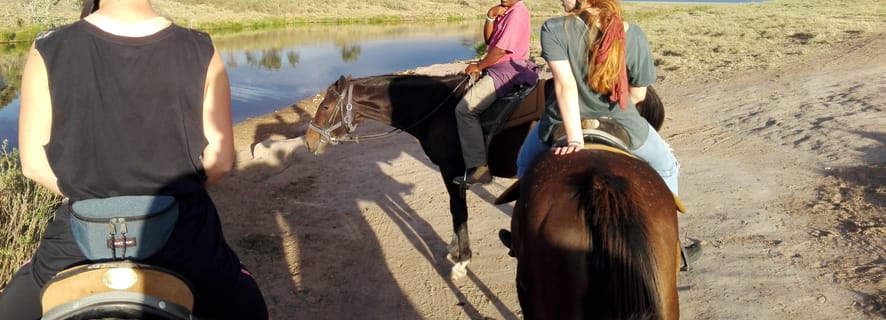 Plettenberg Bay: 2-Hour Horseback Game Reserve Safari