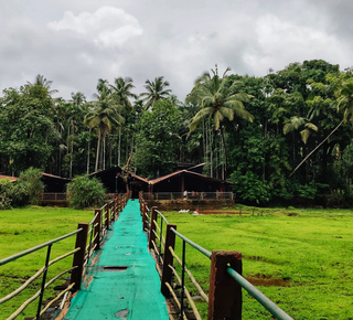 Plantación de especias: Excursiones de un día desde Goa