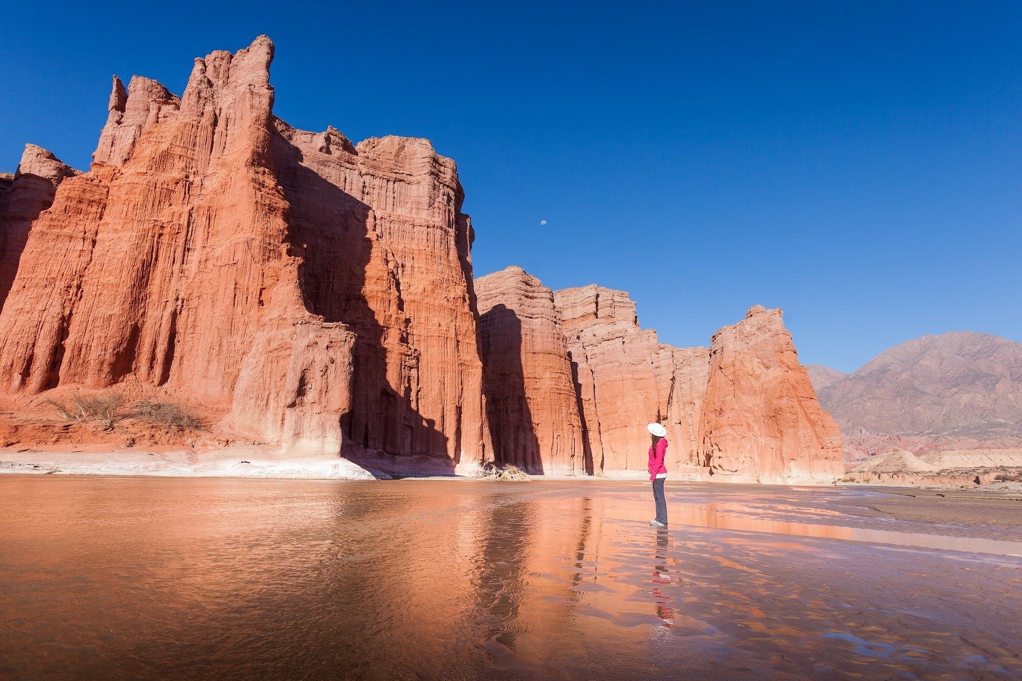 Von Salta aus: Cafayate Tagestour mit Weinverkostung