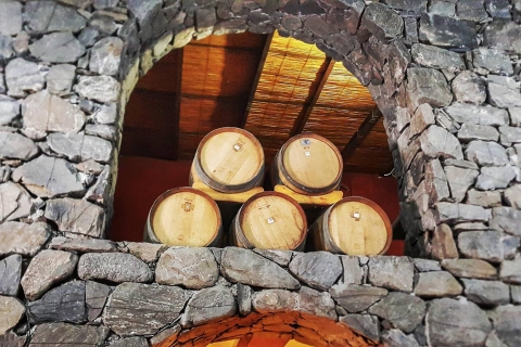 Vanuit Salta: dagtrip Cafayate met wijnproeverijHotel ophaal- en terugbrengservice in het centrum van Salta