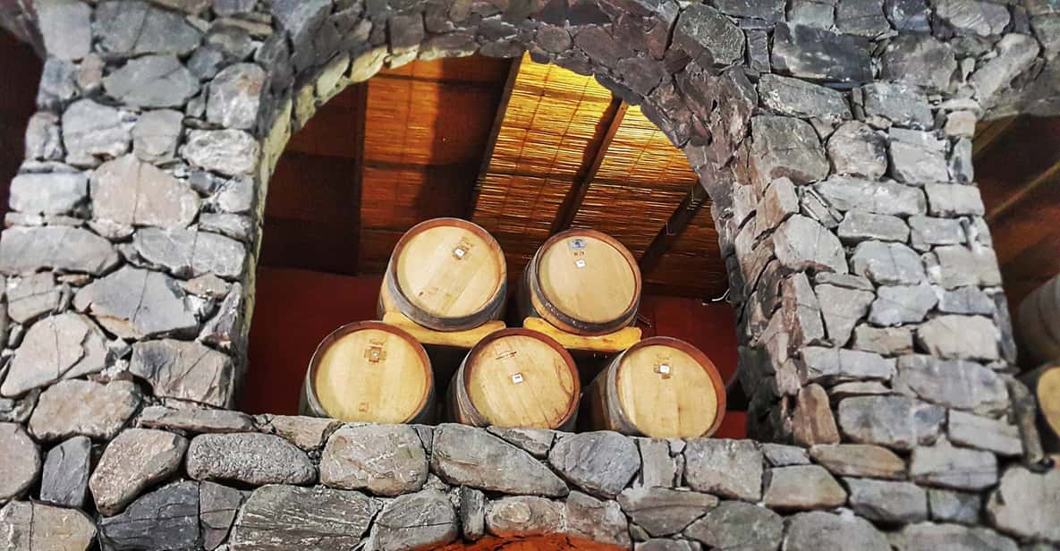 From Salta: Cafayate Day Trip with Wine Tasting