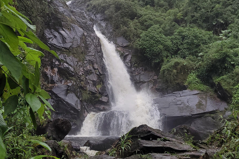 CAMINHO DO OURO - Guided tour Atlantic Forest, Waterfalls, Stories.