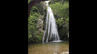 Richtis Waterfall and North Coast Tour - Housity