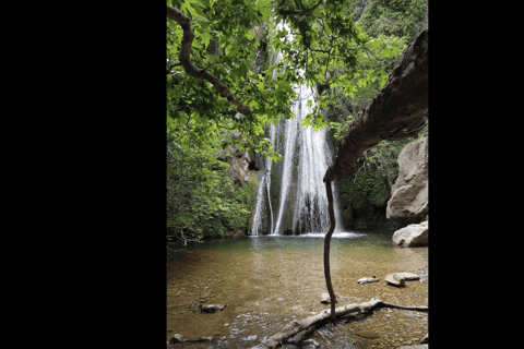 Cascada Richtis y tour de la costa norte