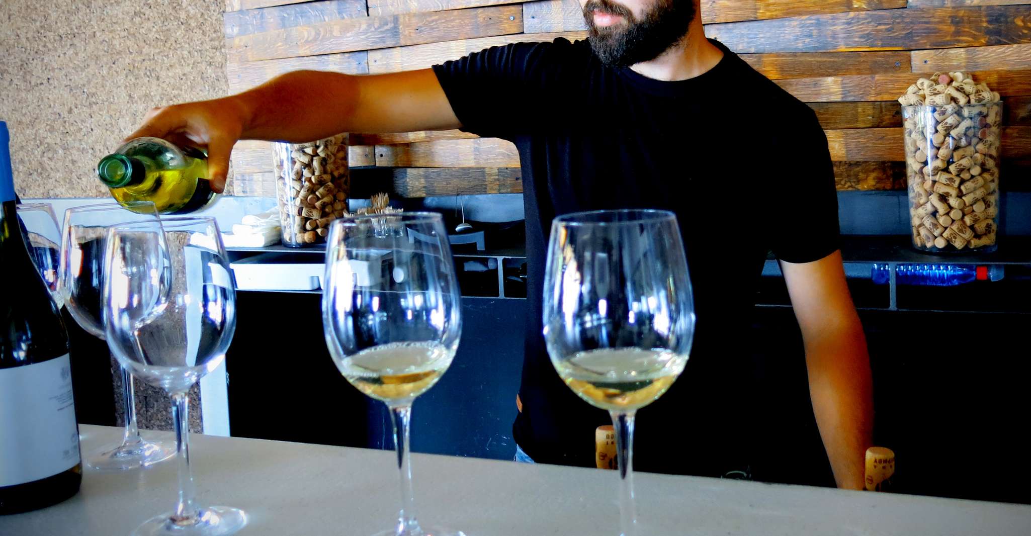 Chipre, Troodos Mountain Wine Tour con un local - Hizvo