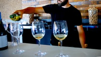 Cipro, Troodos Mountain Wine Tour con un locale - Hizvo