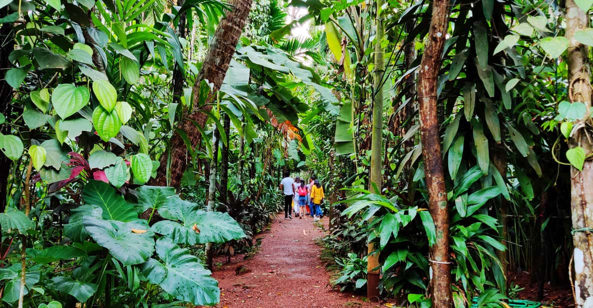 Goa: Private Full-Day Sightseeing Highlights Tour