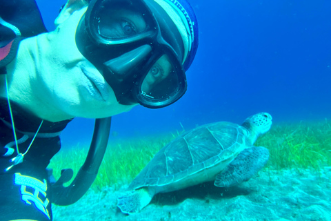 Scooter fun snorcel tour in turtle area