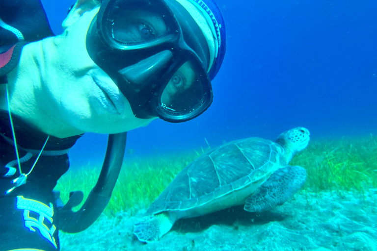 Skoter kul snorcel tur i turtle området