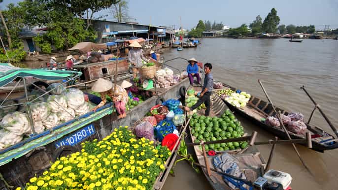 ho chi minh city mekong delta cruise and traditional lunch