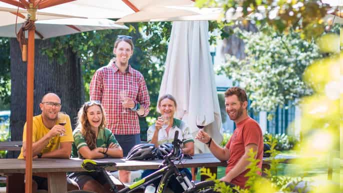 constantia wine valley bicycle tour