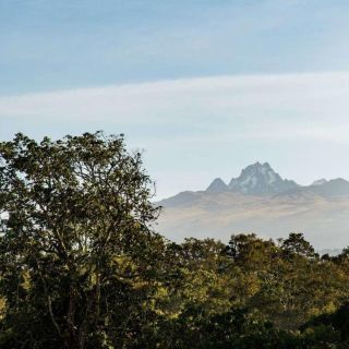 From Nairobi: Mount Kenya Overnight Safari