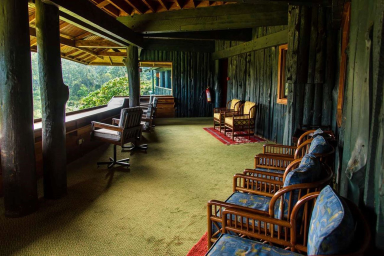 Da Nairobi: Safari notturno sul Monte Kenya