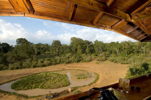 Da Nairobi: Safari notturno sul Monte Kenya